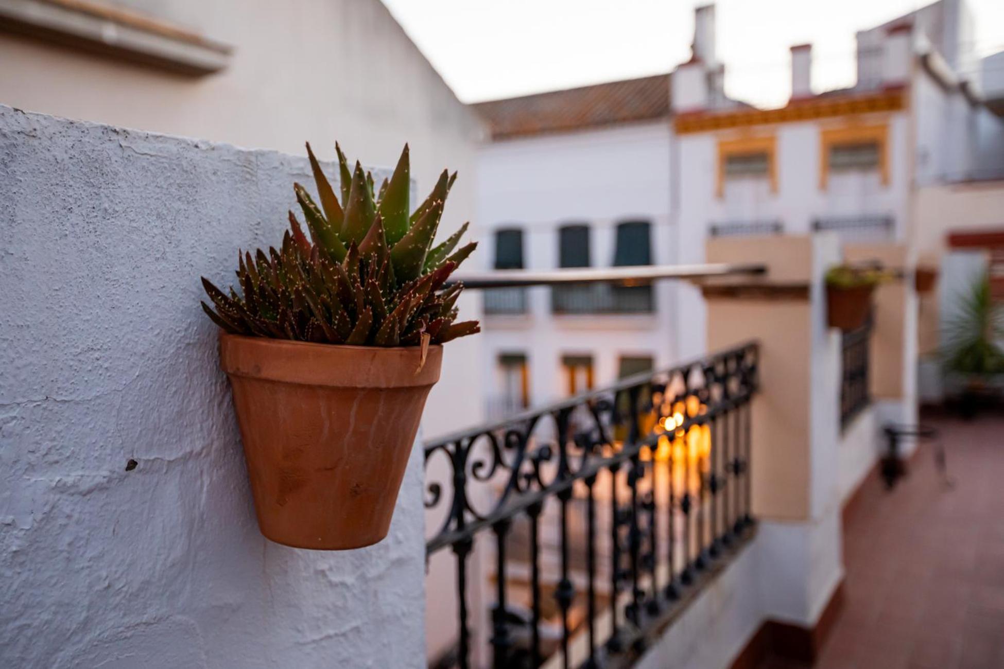Apartamentos Dona Concha Sevilla Exterior foto